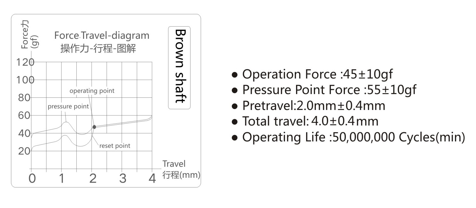 Brow MS-25T-50-1.jpg